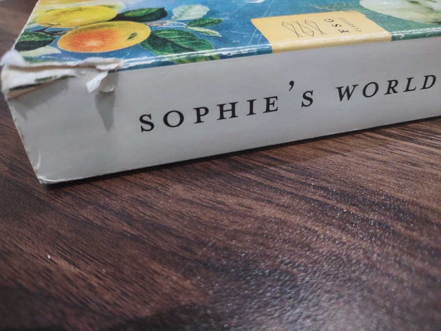 Sophie's World: Original English title - photo 3
