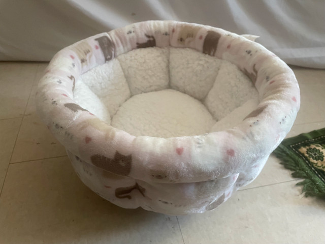 cat bed pet