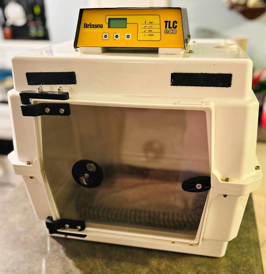 Brinsea TLC 40 Eco Series ICU & Brooder Incubator