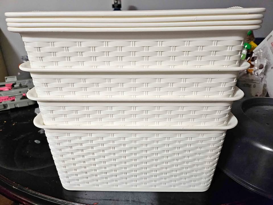 Storage Bins with Lid