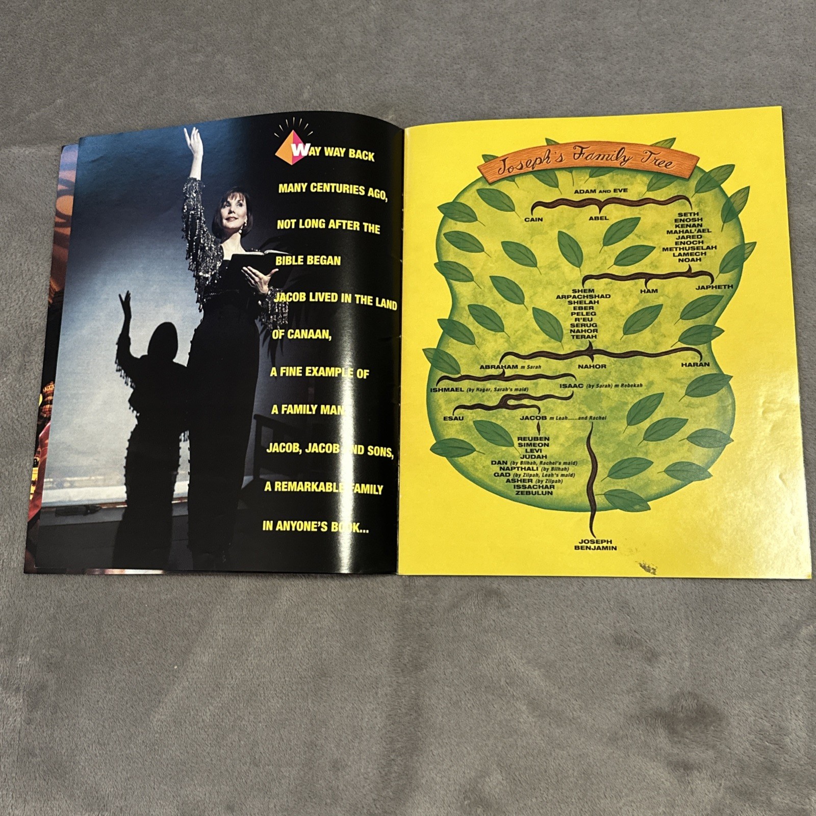 Donny Osmond Joseph & Amazing Technicolor Dreamcoat Toronto 1995 - photo 4