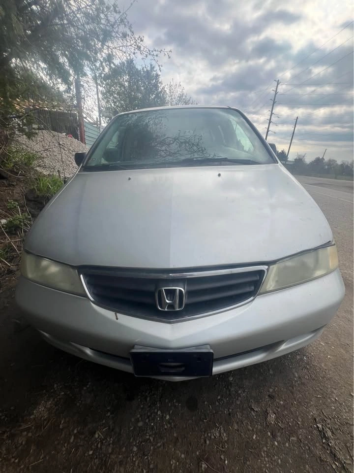 Silver Honda Odyssey Tailgate, Bumper, Wood - photo 2