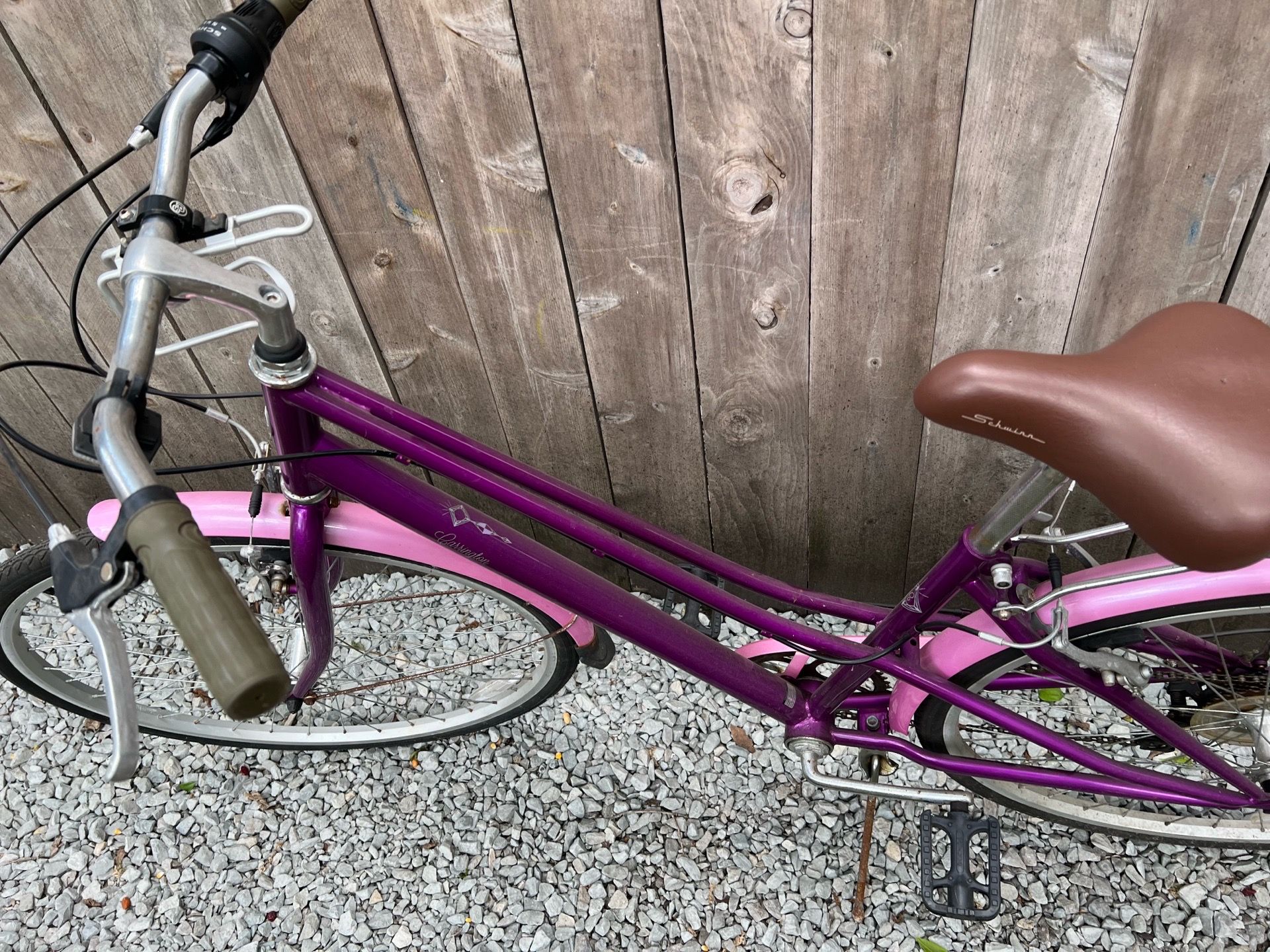 Schwinn Bike - photo 2