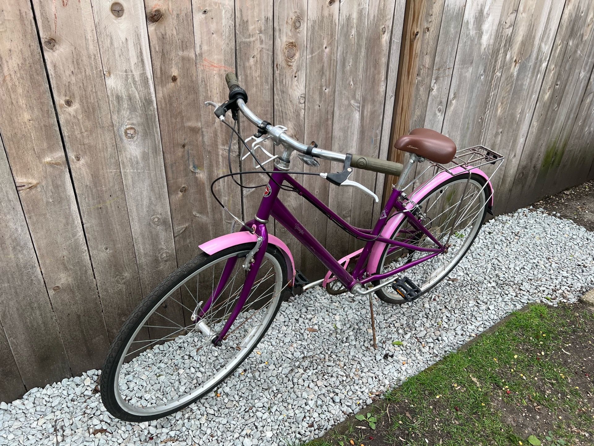 Schwinn Bike - photo 4