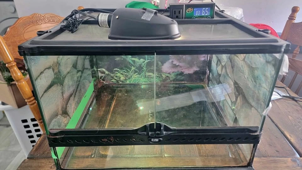 Exo Terra Reptile Tank 18x18x12