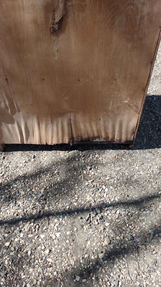 Vintage Cabinet - photo 5