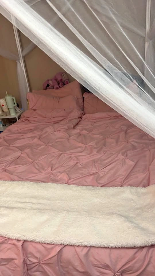 White Wood Queen Canopy Bed Frame