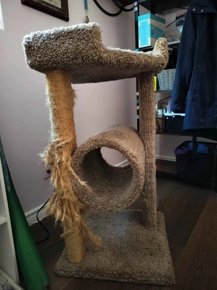 Cat tree tower and tunnel - photo 3
