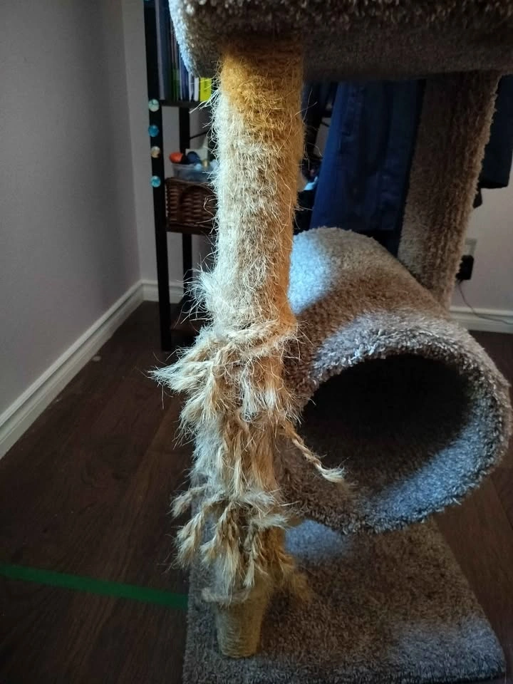 Cat tree tower and tunnel - photo 5