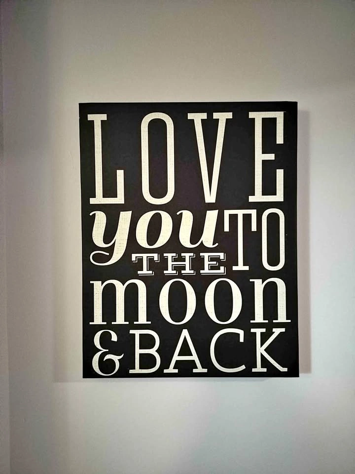 Love you to the moon and back canvas print