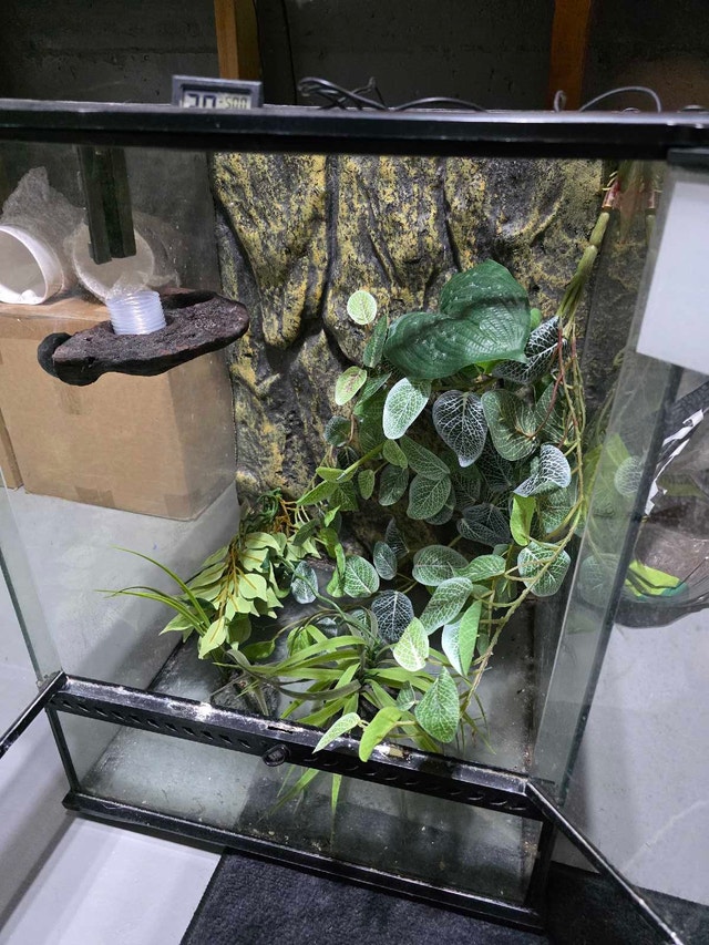 ExoTerra 18x18x24 Enclosure with Extras - photo 2