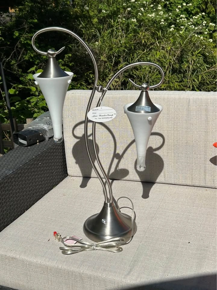 Alice WonderLamp 2-Light Brushed Nickel Table Lamp - photo 3