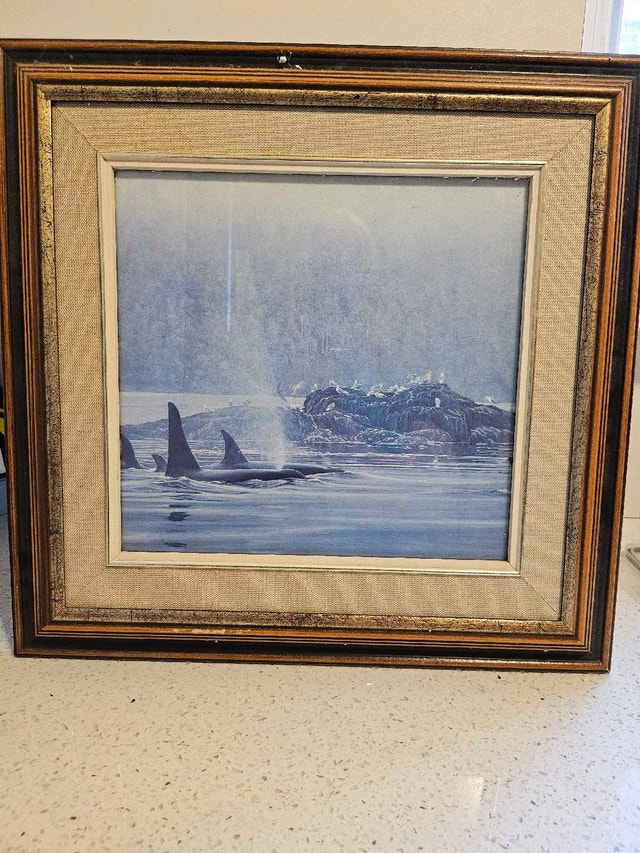 Orca Whale Framed Print