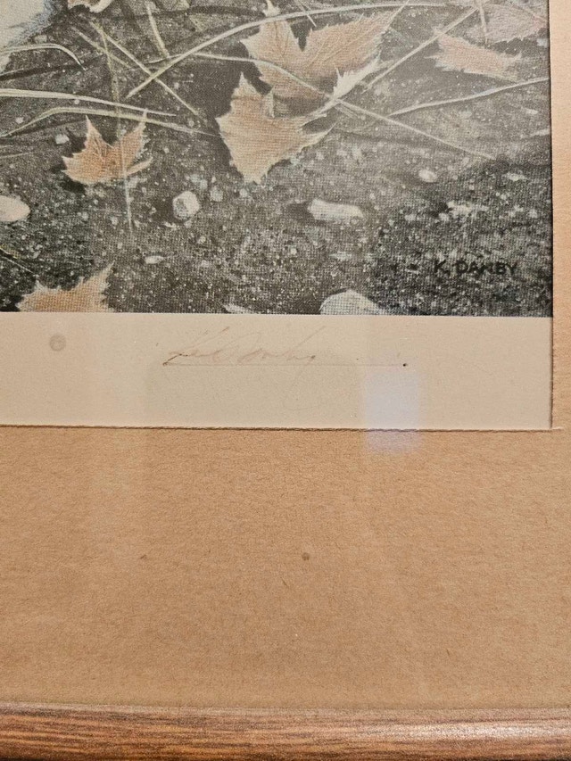 Signed Print - photo 2