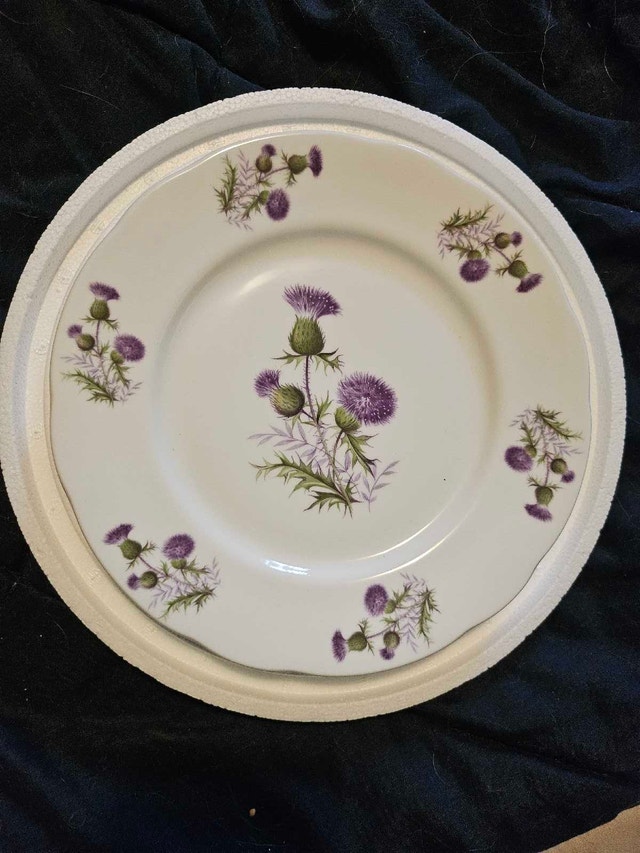 Danbury Mint Plate