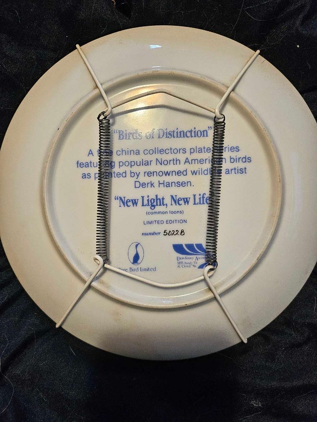 Derk Hansen Plate - New Light, New Life - photo 2