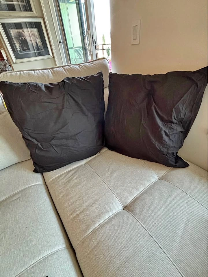 Large Throw Pillows