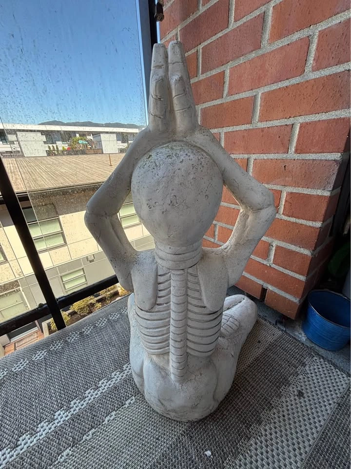 Outdoor Yoga Skeleton - photo 2