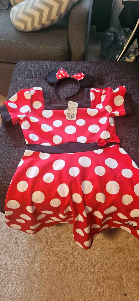 Absolutely beautiful mickey Costume dress