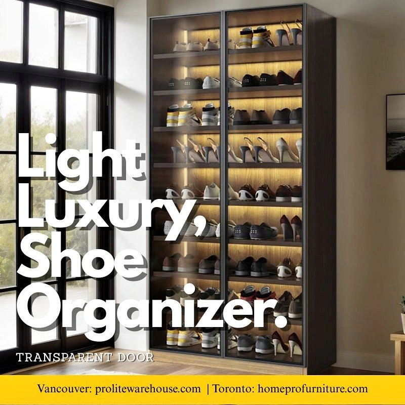 Contemporary Glass Shoe Cabinet - Minimalist Design