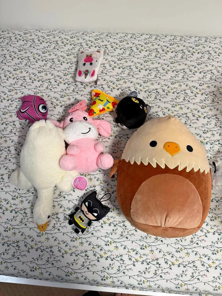 Squishmallows and other stuffies