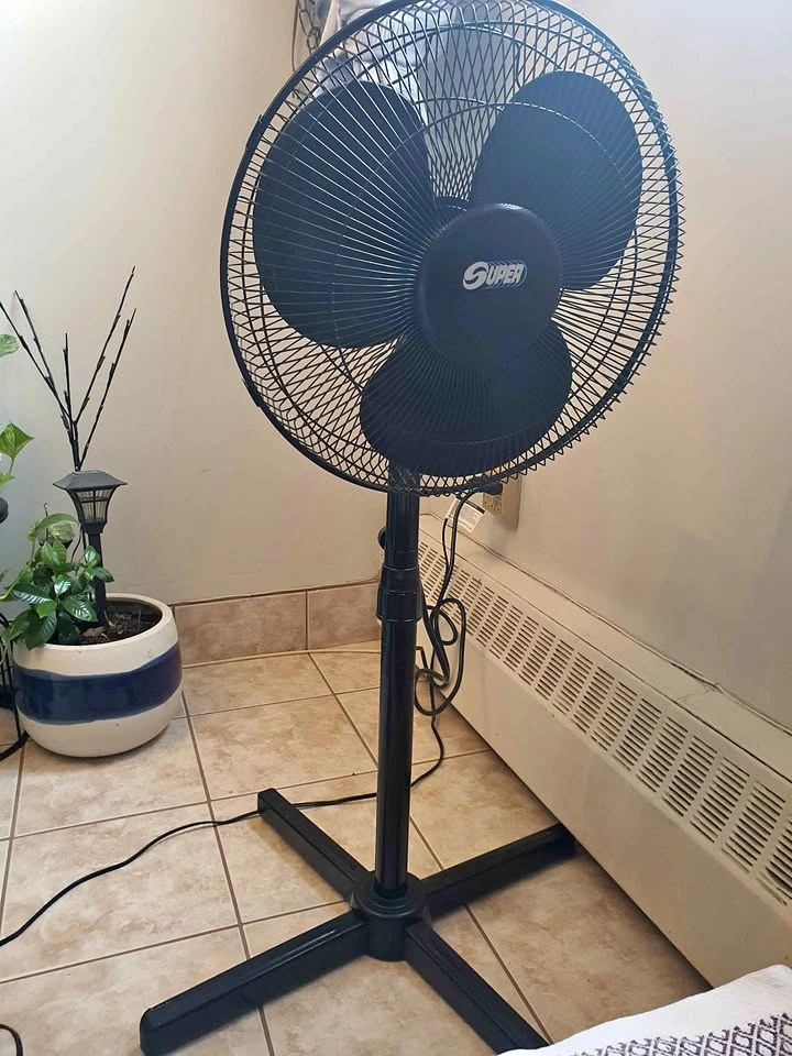 Standing Fan (Adjustable Height)