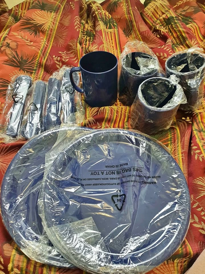 Plastic Plates, Mugs, and Cutlery Set