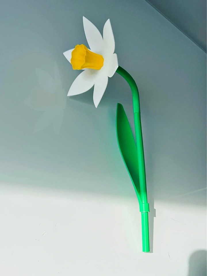 Daffodil Flower Gift – Hand-Assembled