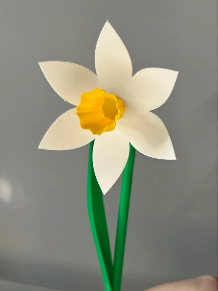 Daffodil Flower Gift – Hand-Assembled - photo 2
