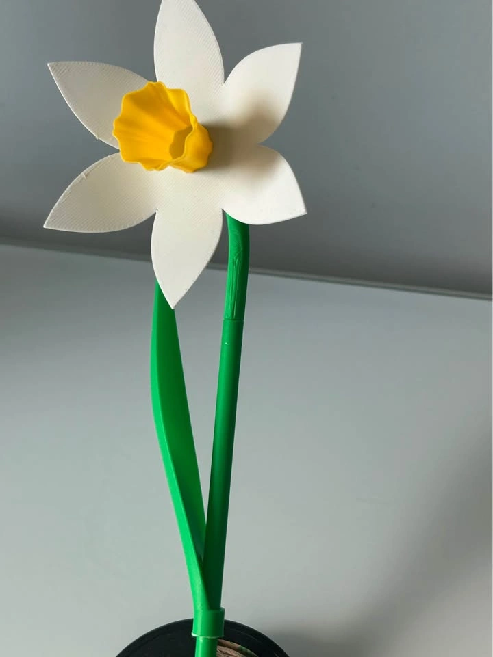 Daffodil Flower Gift – Hand-Assembled - photo 3