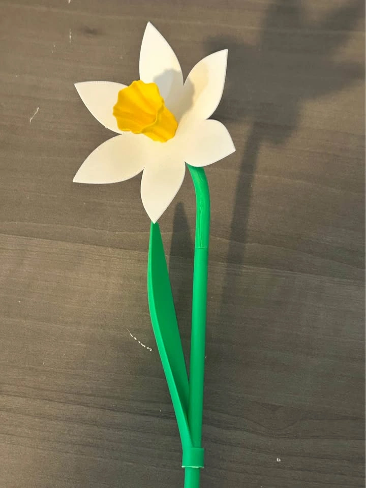 Daffodil Flower Gift – Hand-Assembled - photo 4