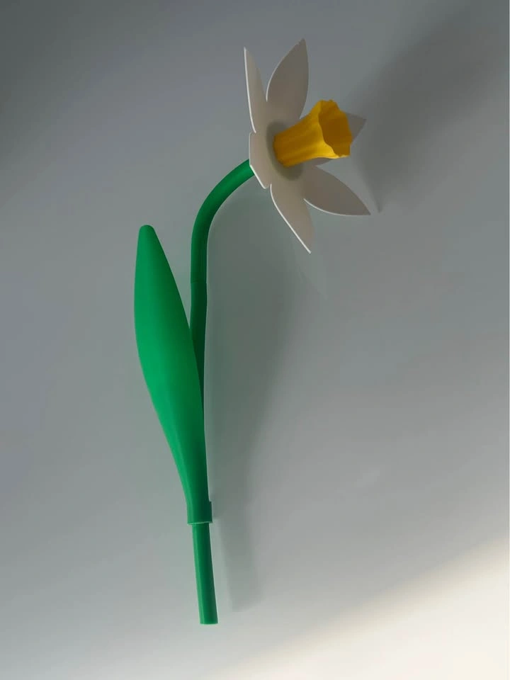Daffodil Flower Gift – Hand-Assembled - photo 5