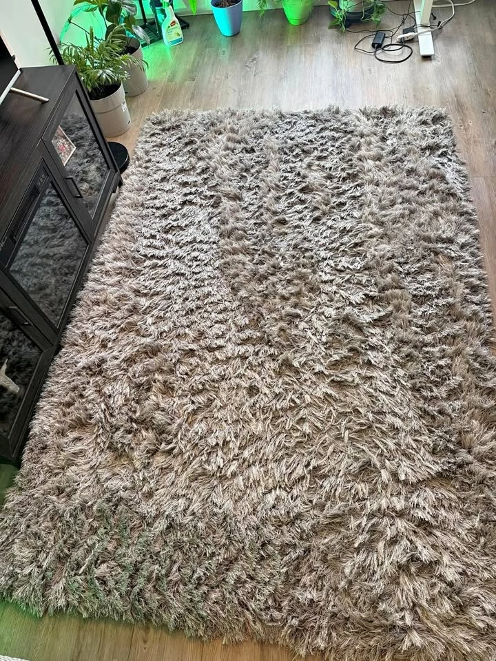 Sparkle Shag Area Rug