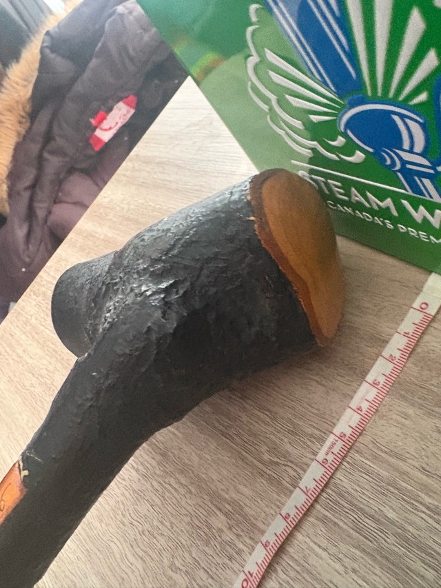 Irish Shillelagh - photo 4