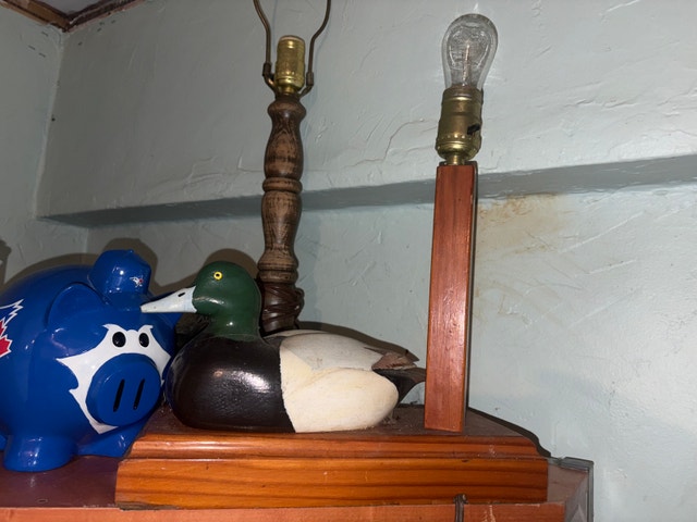 Duck Lamp glass eyes