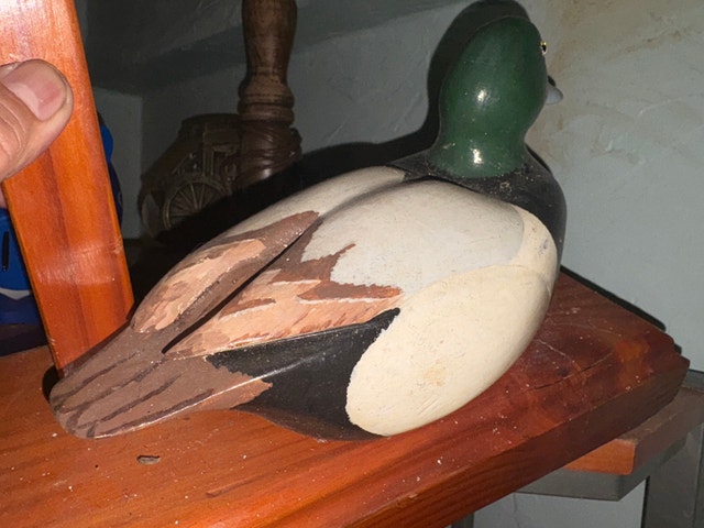 Duck Lamp glass eyes - photo 2