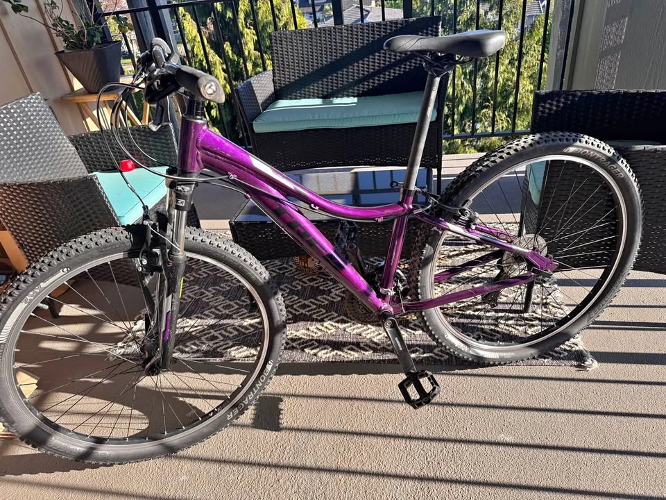 Trek Purple Mountain Bike