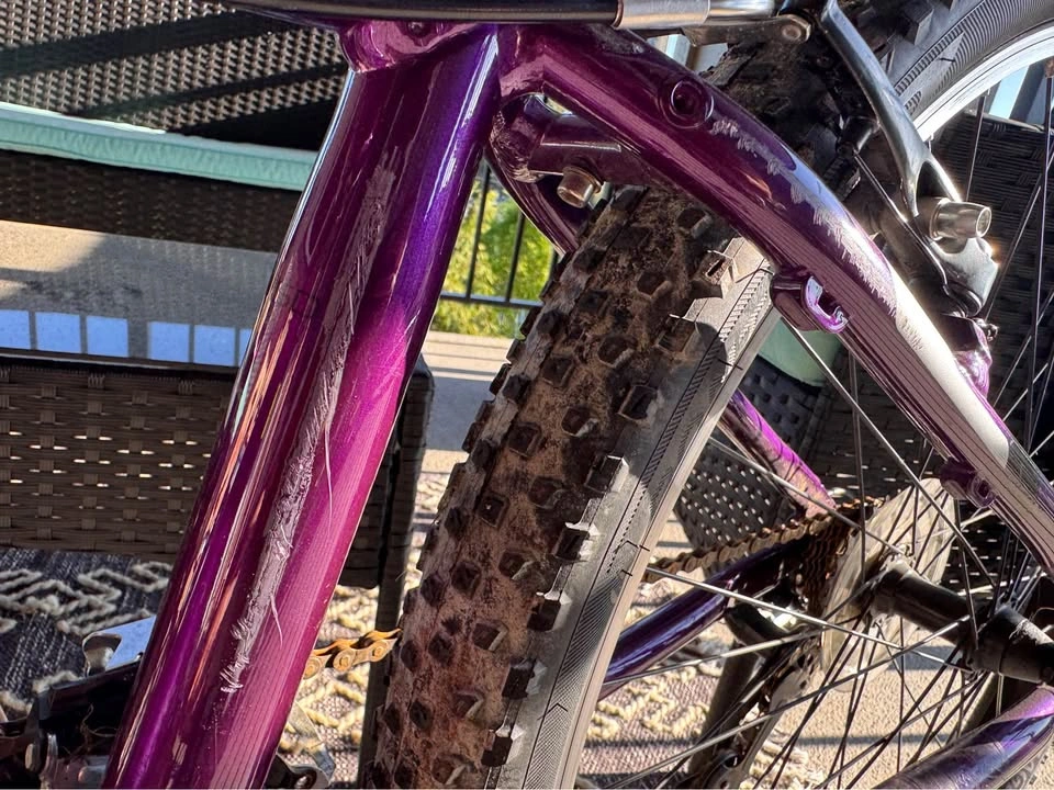 Trek Purple Mountain Bike - photo 4