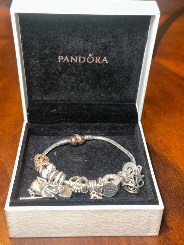 Pandora Charm bracelet