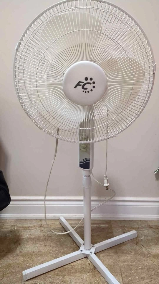 FC Pedestal Fan