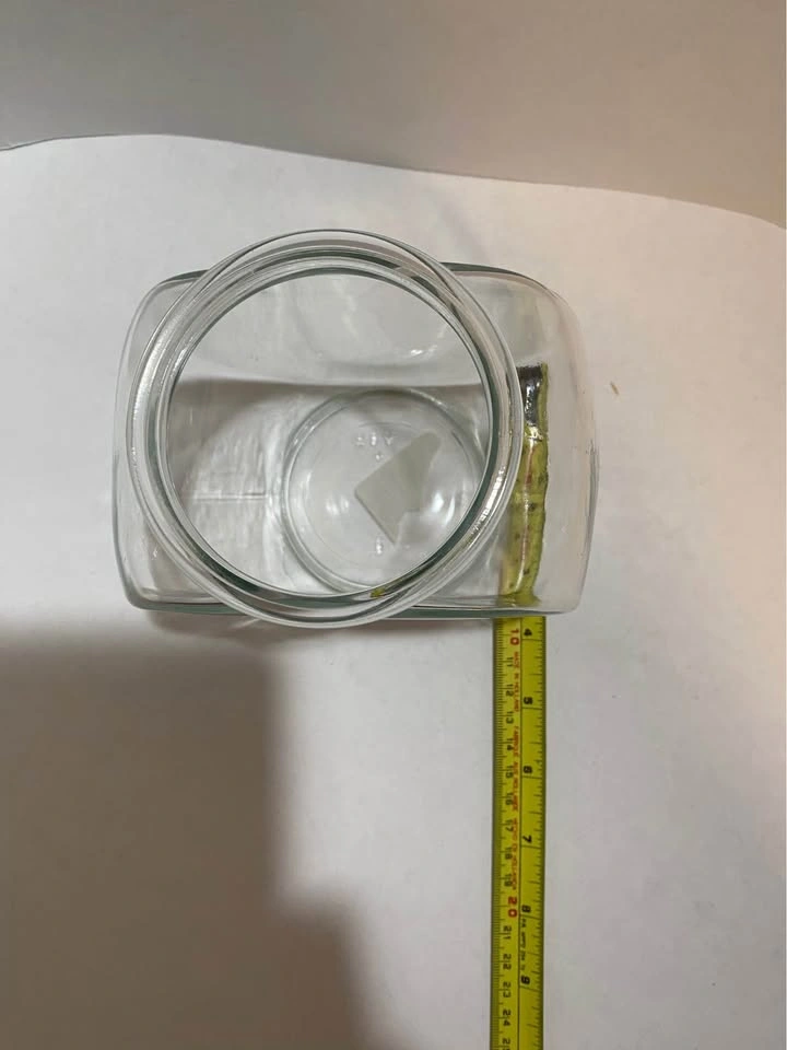 Little Glass Fish Bowl - photo 5
