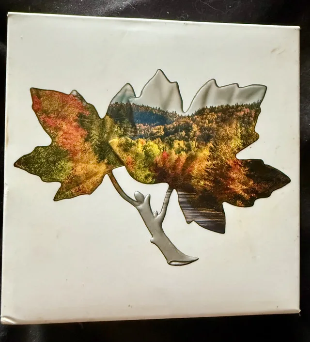 Canada Silver 2019 $20 Iconic Maple Leaves RCM thumbnail