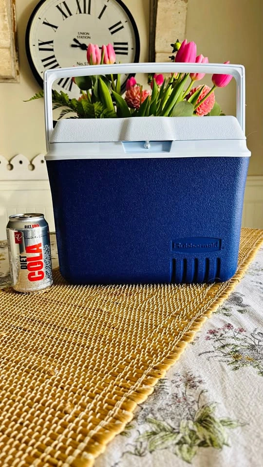 Small portable cooler for the beach