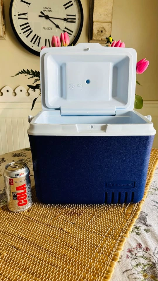 Small portable cooler for the beach - photo 2