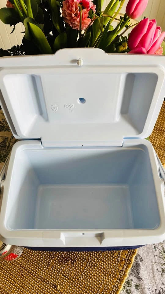 Small portable cooler for the beach - photo 3