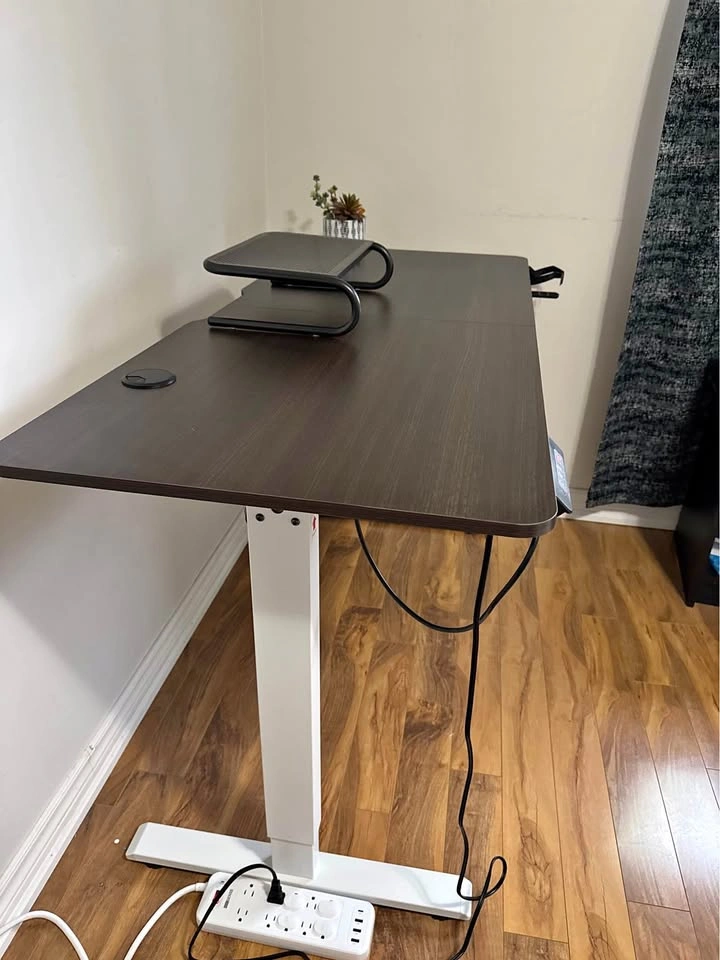 Electric Standing Desk with Dark Wood Top