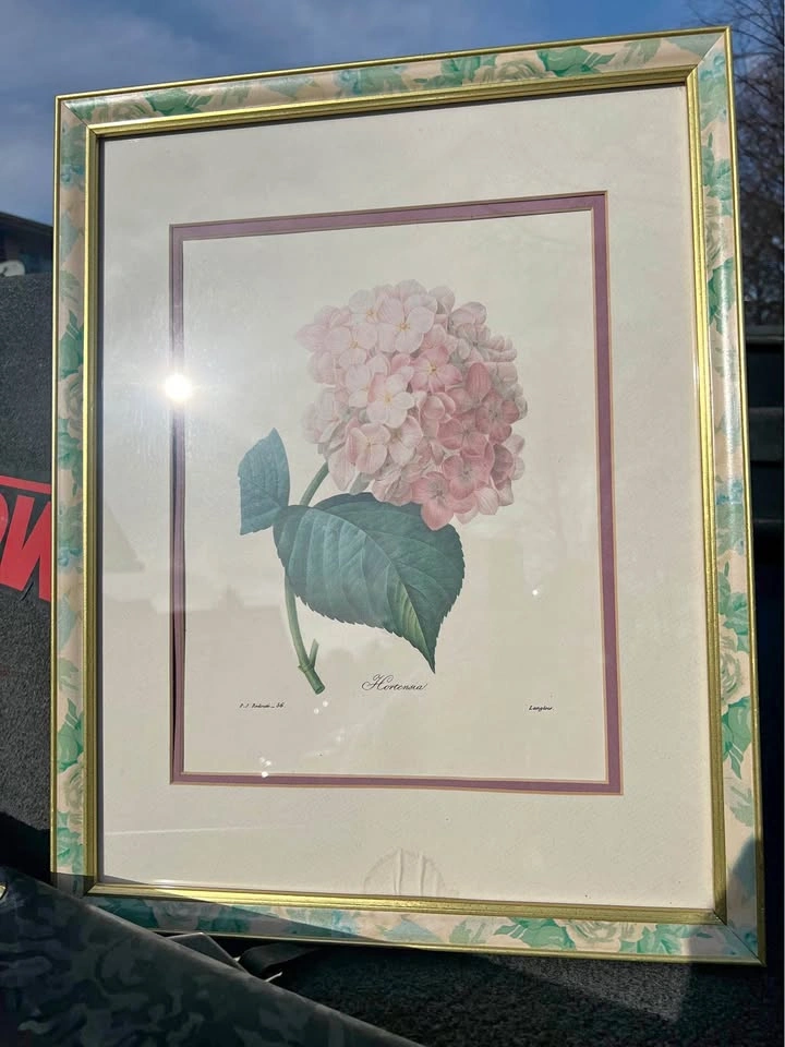 Vintage Framed Hydrangea Floral Art Print