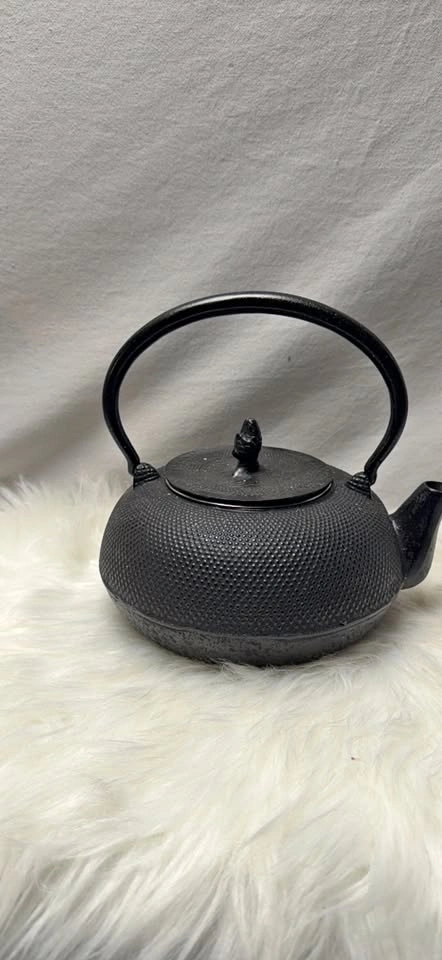 Cast Iron Teapot