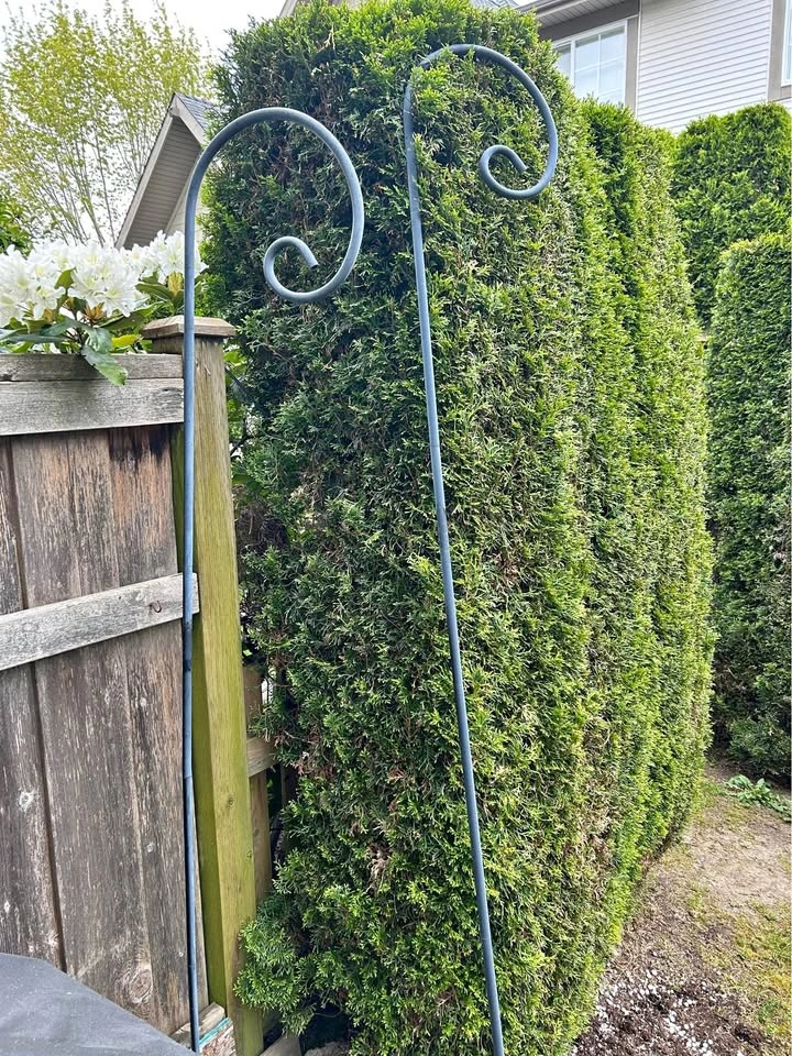 7ft Tall Metal Shepherd's Hook (Set of 2)