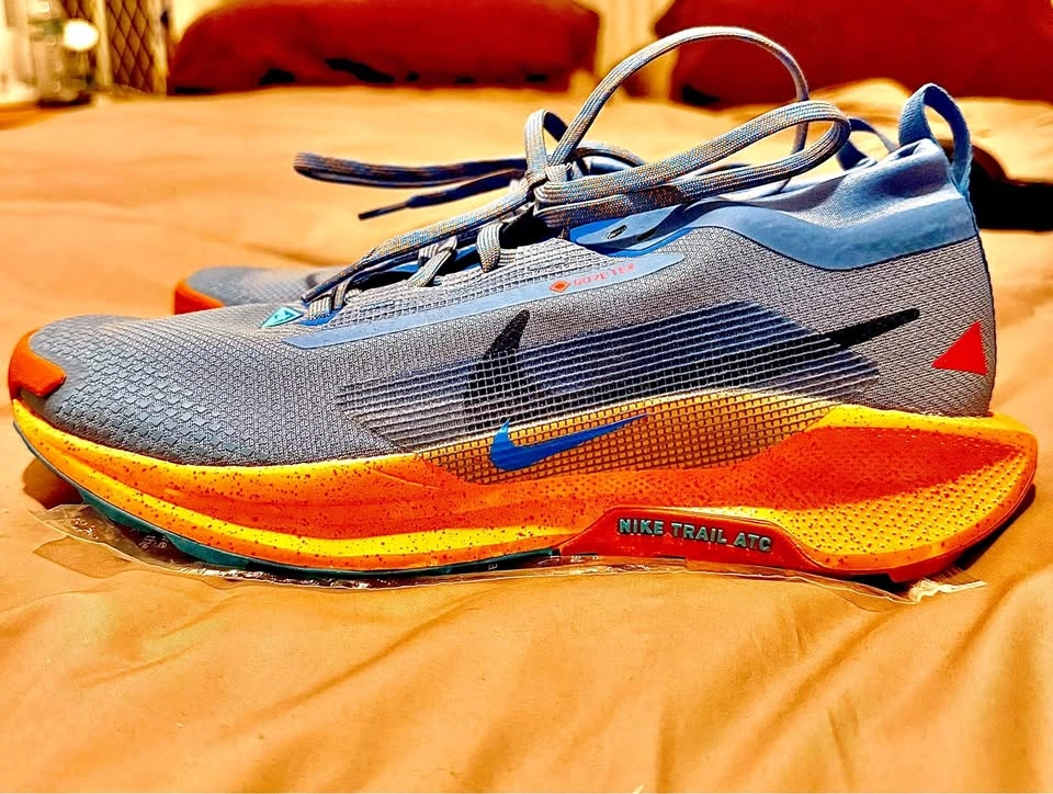 Nike Men's Pegasus Trail 5 GORE-TEX Shoes